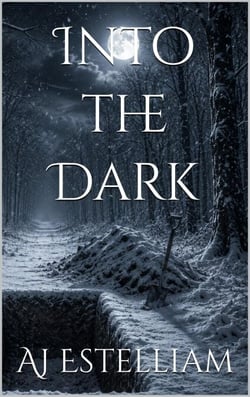 Into the Dark - Emerson and Snow, #21