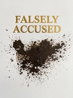 Falsely Accused - G. J. Jackson