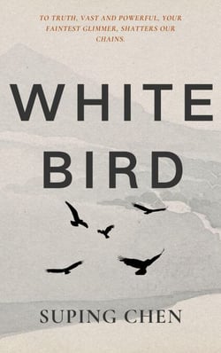 White Bird