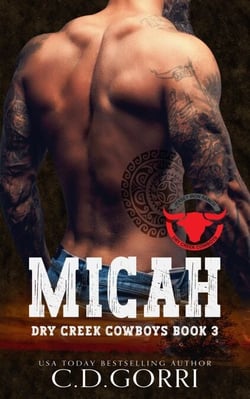 Micah - Dry Creek Cowboys, #3