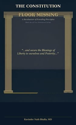 The Constitution: Floor Missing - The Abundance Series, #6