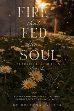 Fire That Fed The Soul - Beautifully Broken, #2