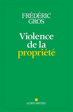 Violence de la propriété