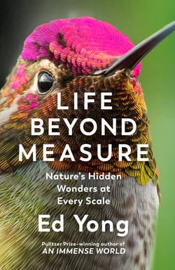 Life Beyond Measure - Nature’s Hidden Wonders at Every Scale