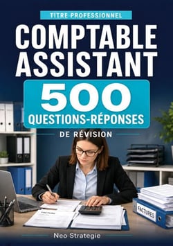 Titre professionnel comptable assistant - 500 questions-réponses  et fiches de révision