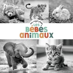 Mon imagier photos- Les bébés animaux