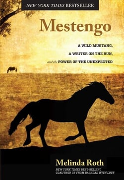 Mestengo - A Wild Mustang, a Writer on the Run, and the Power of the Unexpected