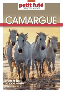 Guide Camargue 2026 Carnet Petit Futé