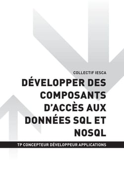 TP CONCEPTEUR DÉVELOPPEUR D'APPLICATIONS - AT2 Développer des composants d'accès aux données SQL et NoSQL