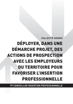TP CONSEILLER EN INSERTION PROFESSIONNELLE - AT3 - Déployer, dans une démarche projet, des actions de prospection avec les employeurs du territoire pour favoriser l'insertion professionnelle