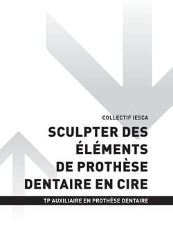 TP AUXILIAIRE EN PROTHÈSE DENTAIRE - AT2 - Sculpter des éléments de prothèse dentaire en cire