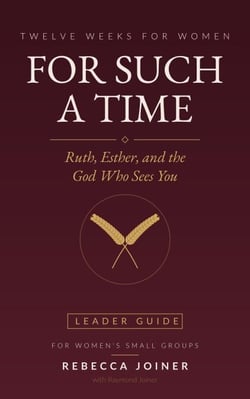 For Such a Time: Ruth, Esther, and the God Who Sees You (Leader Guide) - No Homework Bible Studies