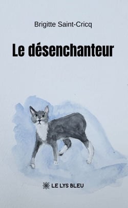 Le désenchanteur