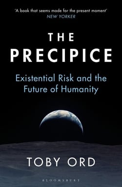 The Precipice - ‘A book that seems made for the present moment’ New Yorker