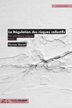 La régulation des risques collectifs - Vers une théorie intégrée. Volume 1