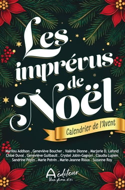 Les imprévus de Noël - Calendrier de l'Avent