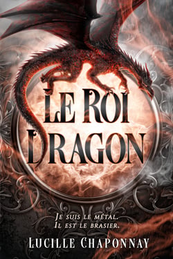 Le Roi Dragon - Une romantasy One-Shot