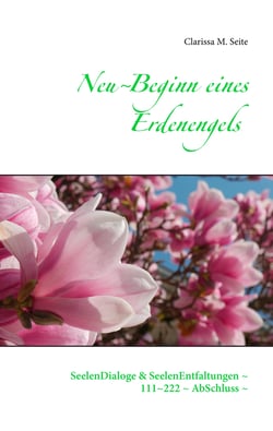 Neu~Beginn eines Erdenengels - SeelenDialoge &amp; SeelenEntfaltungen ~ 111~222 ~ AbSchluss ~