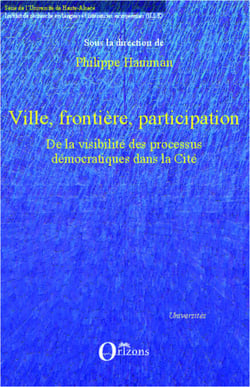 Ville, frontière, participation - De la visibilité des processus démocratiques dans la Cité
