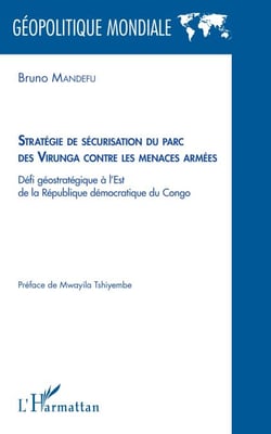 Stratégie de sécurisation du parc des Virunga contre les menaces armées - Défi géostratégique à l'est de la république démocratique du Congo
