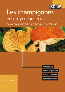 Les champignons ectomycorhiziens des arbres forestiers en Afrique de l’Ouest - Méthodes d’étude, diversité, écologie, utilisation en foresterie et comestibilité