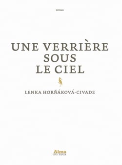 Une Verrière sous le ciel