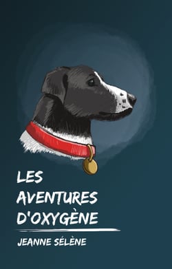 Les Aventures d'Oxygène - Roman jeunesse