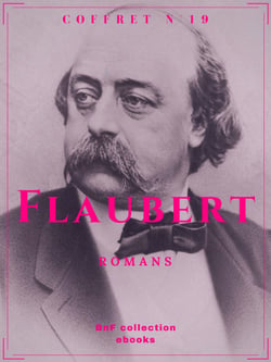 Coffret Flaubert - Romans