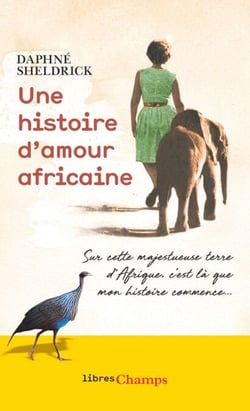Une histoire d’amour africaine