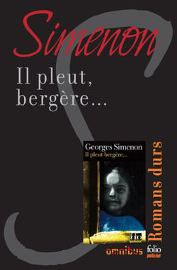 Il pleut, bergère... - Romans durs