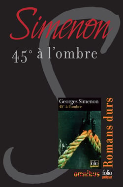 45° à l'ombre - Romans durs