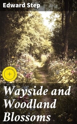 Wayside and Woodland Blossoms - A Pocket Guide to British Wild-flowers for the Country Rambler