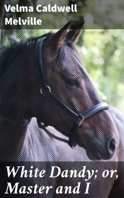 White Dandy; or, Master and I - A Horse's Story