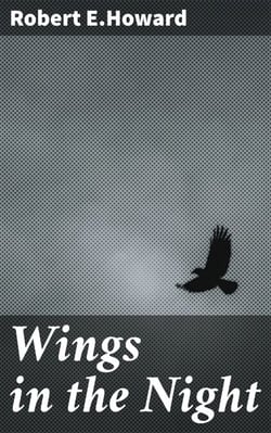 Wings in the Night