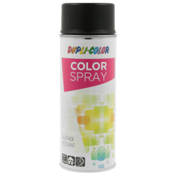 Spray de peinture - Noir - RAL 9005 - Mat - Tous supports - Color special - 400ml