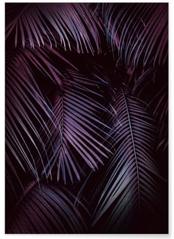 Poster Feuilles de palmier tropical sombre | A3 : 29,7x42cm