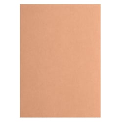 Papier cartonné - Florence - 100 feuilles - Kraft - A4 - 216 g/m²