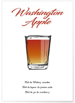 Affiche Shooter Washington Apple | A3 : 29,7x42cm