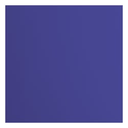Papier cartonné Florence - Lisse - 20 feuilles - Ink - 30,5 x 30,5 cm - 216 g/m²
