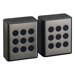 Lenco Paire d'Enceintes Stéréo 5W Bluetooth 600 mAh Interconnectable Autonomie 8h Noir / Argent