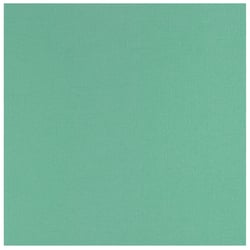 Papier cartonné texturé Florence - Tous niveaux - 20 feuilles - Mint - 30,5 x 30,5 cm - 216 g/m²