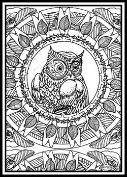 Tableau velours a colorier MANDALA CHOUETTE Sericolor