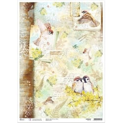 1 feuille de papier de riz 30.6 x 42.7 cm Ciao Bella NOTRE VIE 022