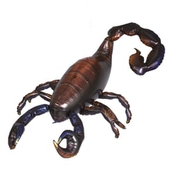 Ballon aluminium 3D à poser - Scorpion