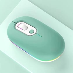 Souris Sans Fil Silencieuse Rechargeable RGB Ergonomique Bluetooth 2.4G 800-1600DPI