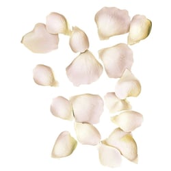 Pétales de roses Rose 3 et 4,5 cm 41 pièces
