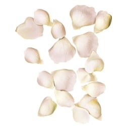Pétales de roses Rose 3 et 4,5 cm 41 pièces