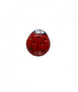 Carte de 4 boutons Petite coccinelle 11mm - Distrifil Blanc