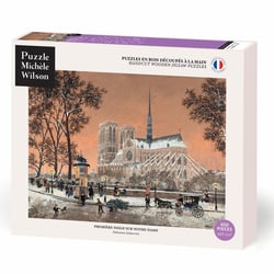Première neige sur Notre-Dame de Delacroix