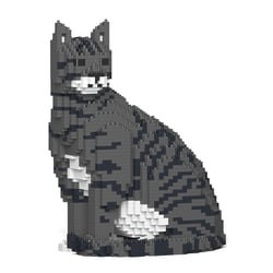 Chat Tigré gris foncé assis | JEKCA | 14 ans et +
